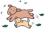犬の病気画像