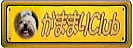 ܂܂Club
