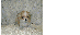 }C