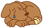 ̃wjA