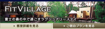 フィットヴィレッジ